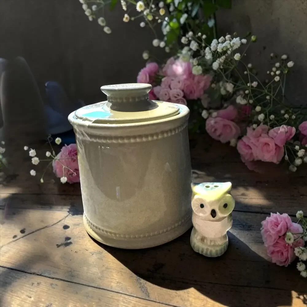 Vintage Sage Green Stoneware Kitchen Canister with Lid | Farmhouse Ceramic